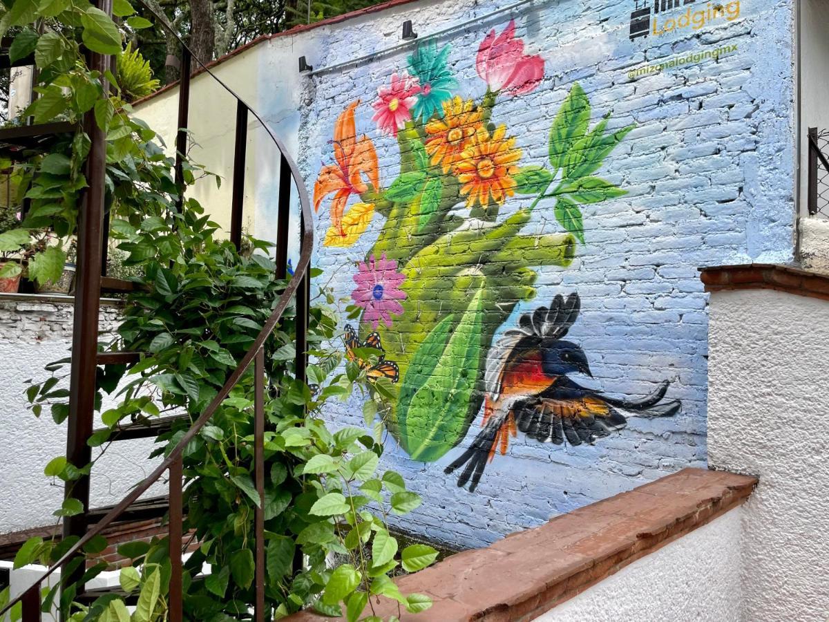 Mi Zona Coyoacan Mexico City